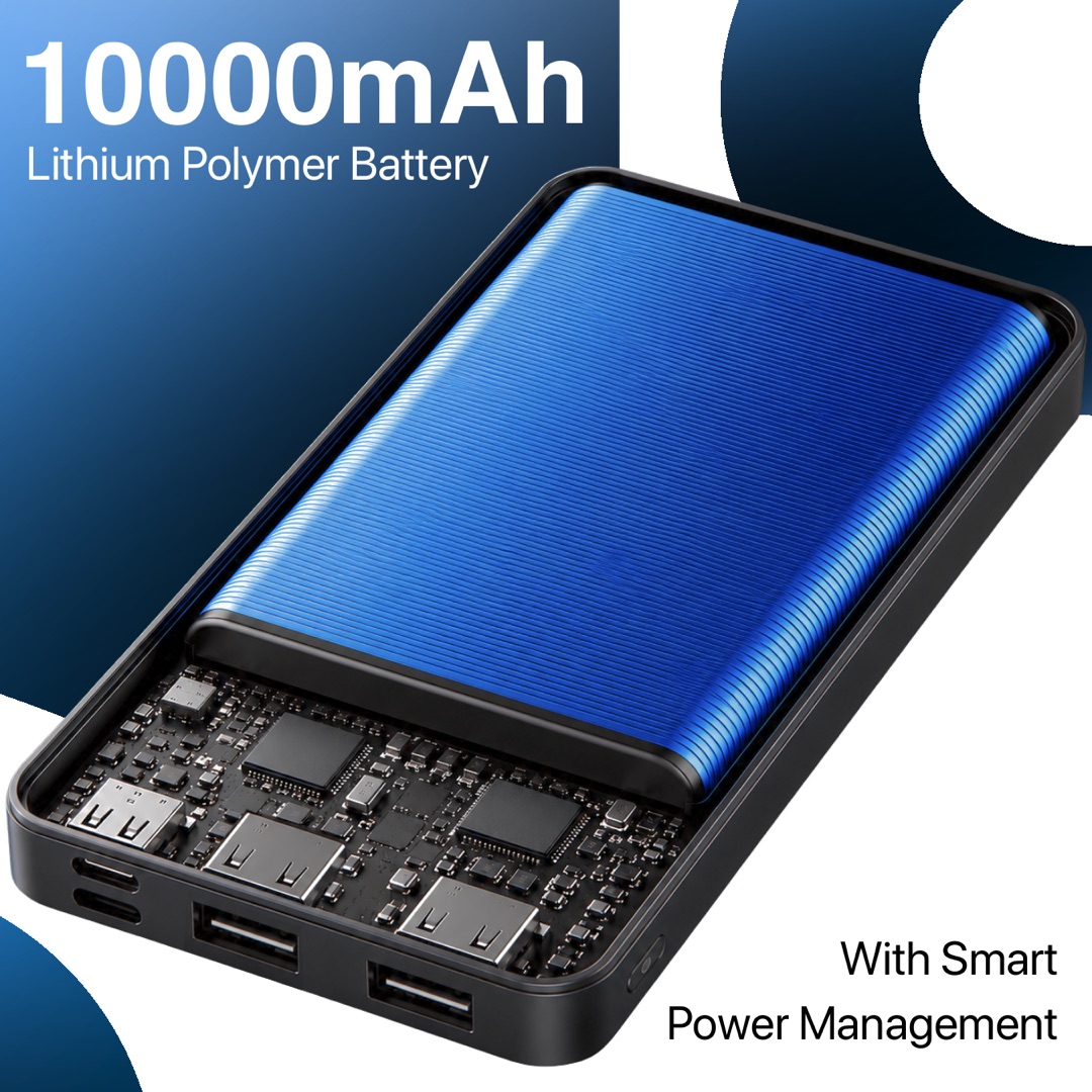 Cutaway of the Parxen 10000 Wired showing its lithium polymer cell above the port board